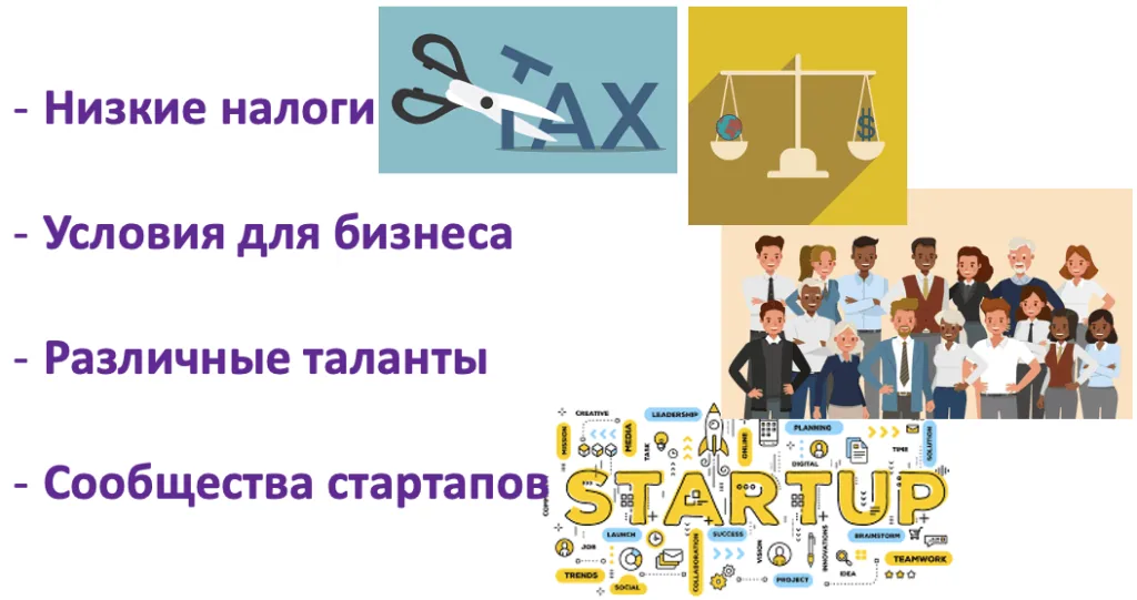 Взлёт Майами: От солнечного рая к технологической Мекке